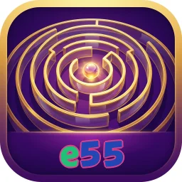 e55